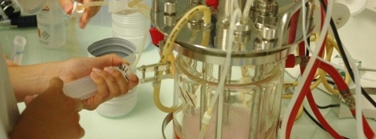 BioProcess Center Bordeaux , l'expertise en bioproduction